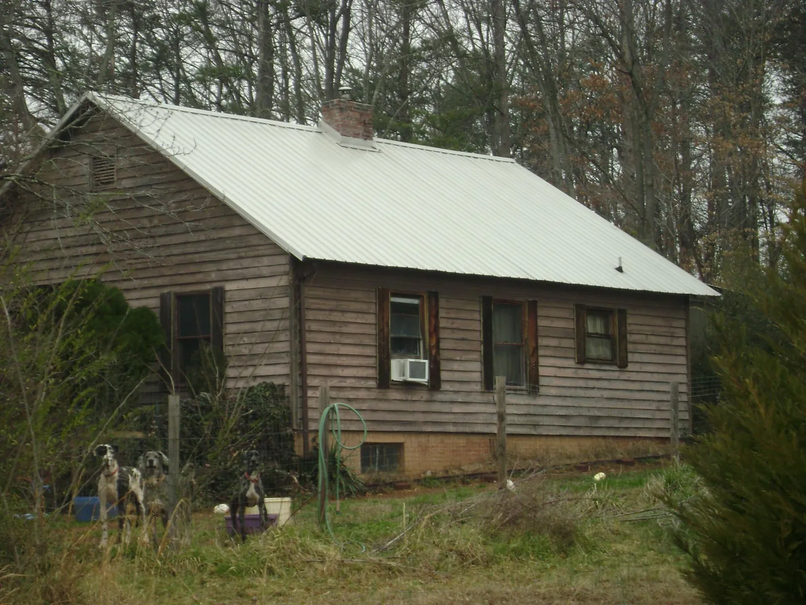 White metal roof on an old wood sided farmhouse, from a Metal Roof Installation job in Calhan